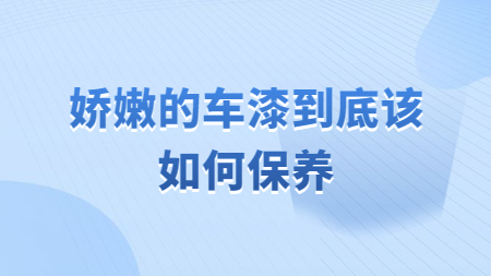 娇嫩的车漆到底该如何保养！